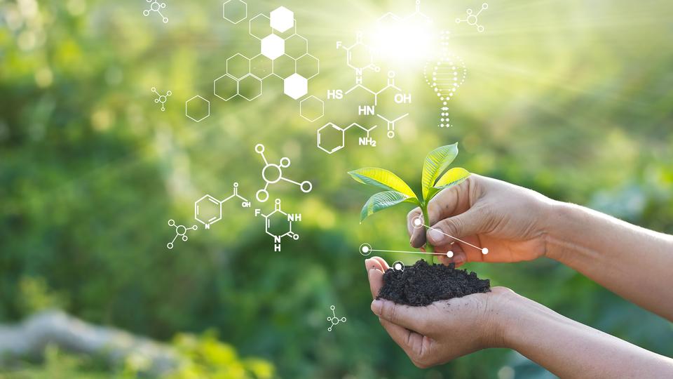 Hands holding soil and a plant. A biochemistry structure is placed into the green background.Händer som håller jord och en grön växt. En biokemistruktur är placerad i den gröna bakgrunden.